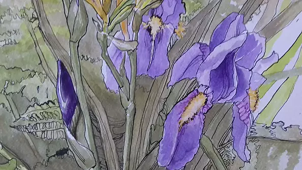 Dorota Kędzierska - From the garden