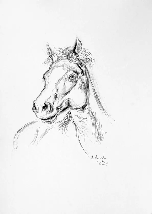 Amelia Augustyn - With a flowing mane