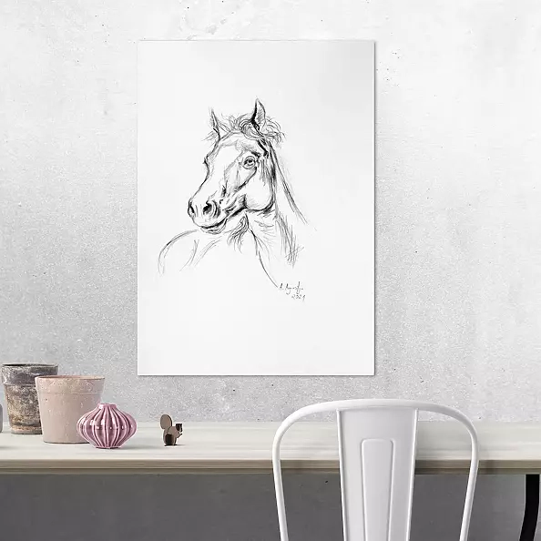 Amelia Augustyn - With a flowing mane