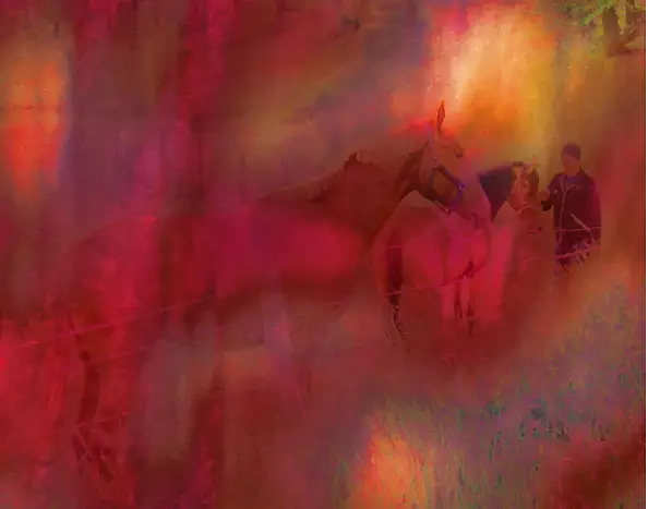 Danuta Krajewska - Za czerwona zasłoną