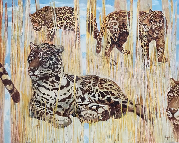 Aldona Zając - Peekaboo