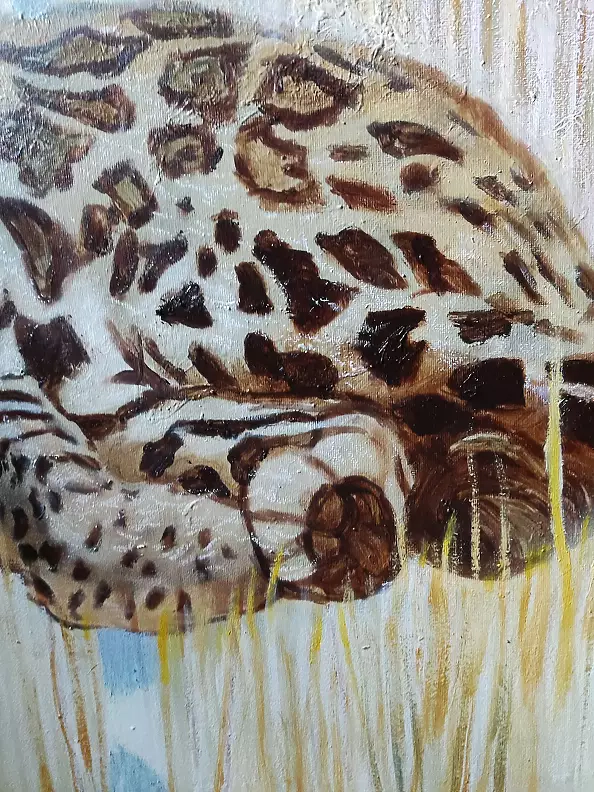 Aldona Zając - Peekaboo