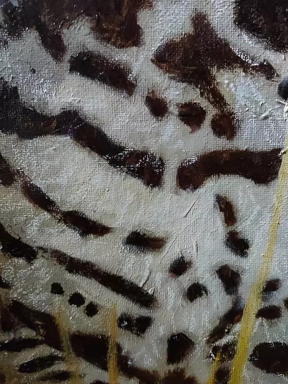 Aldona Zając - Peekaboo