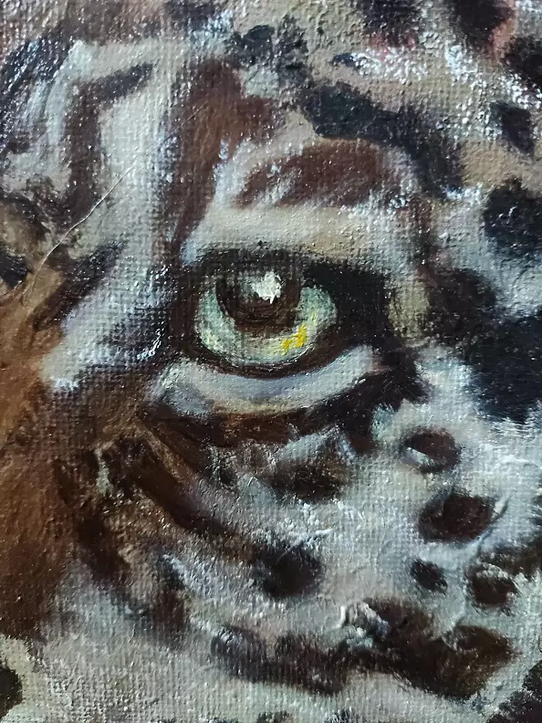 Aldona Zając - Peekaboo