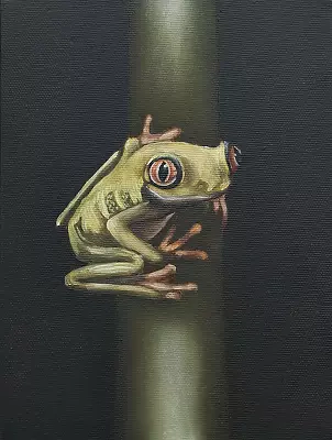 Amelia Augustyn - Żabka