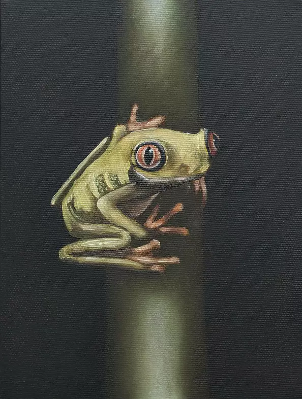 Amelia Augustyn - Żabka