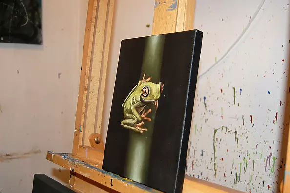 Amelia Augustyn - Żabka