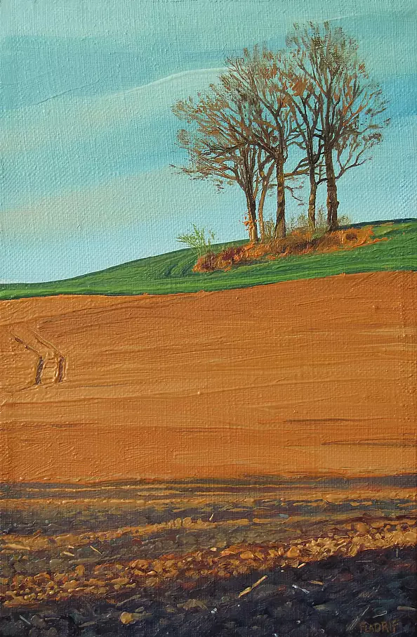 Wojciech Pater - Zachod słońca na polach wczesną wiosną