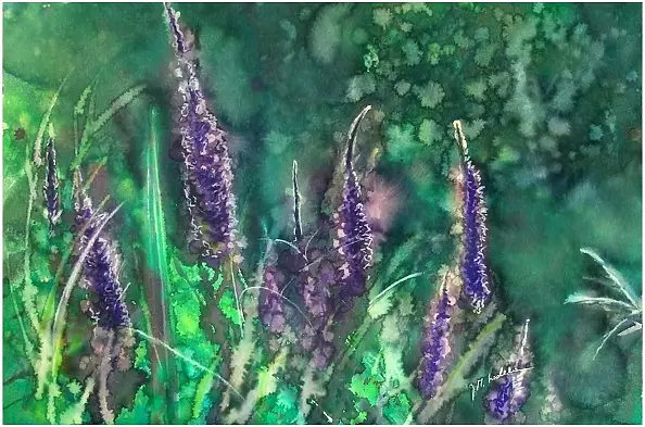 Joanna Magdalena - Interest