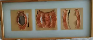   - The beginning of life