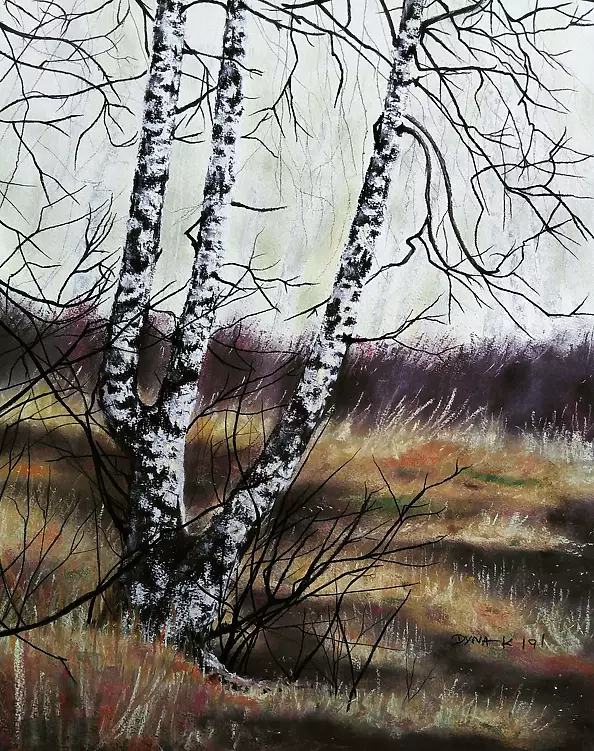 Pola Karpińska - Zaduma