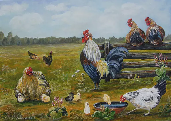 Katarzyna Niemczak - Farm Leosia