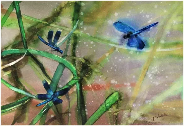 Joanna Magdalena - Zaloty