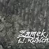 Witold Kubicha - Zamek