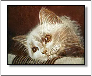 Jolanta Dusza - Zamyślenie