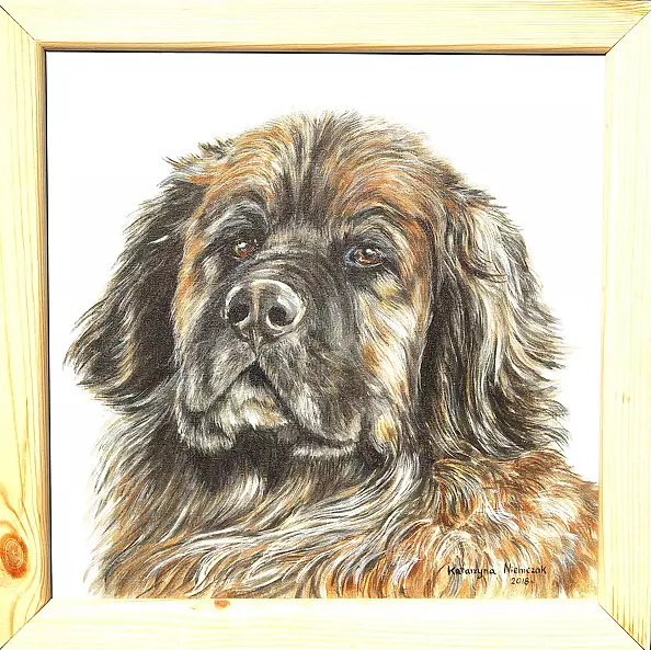 Katarzyna Niemczak - Pensive