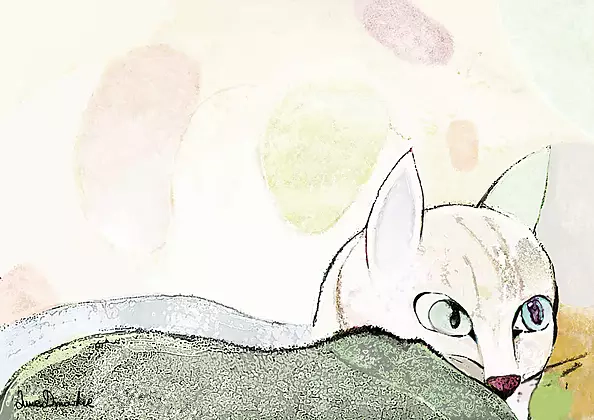 Anna Dmowska - "Zapatrzenie"