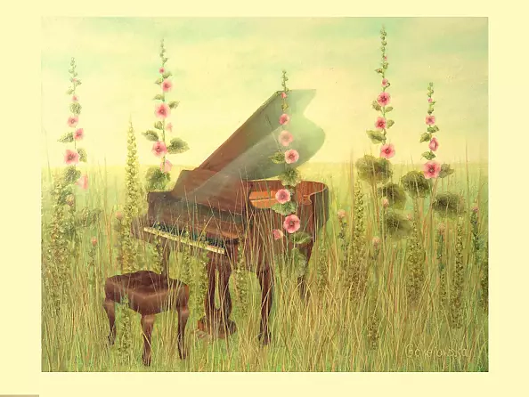 Anna Gorejowska - Zapomniane dźwięki