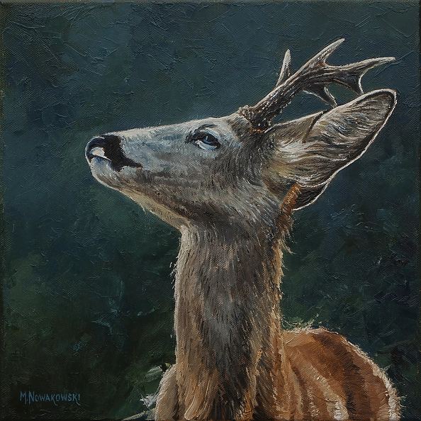 Michał Nowakowski - Zarozumialec