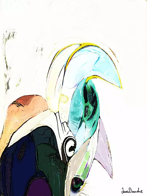 Anna Dmowska - "Shame