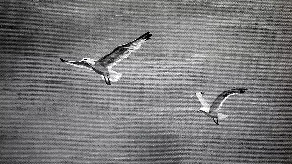 Martyna Mączka - Always where you are