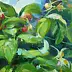 Barbara Gulbinowicz - Collecting raspberries