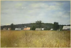 Marek Strójwąs - Grains impression