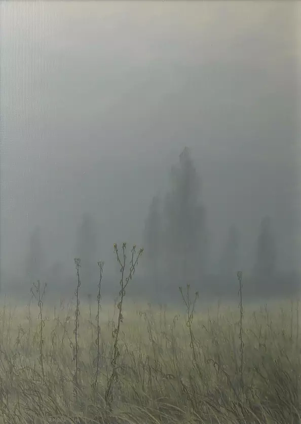 Dariusz Król - Rasp in the meadow