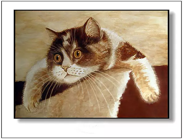 Jolanta Dusza - Zdziwienie