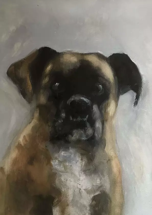 Magdalena Bartocha - Zdziwiony boxer