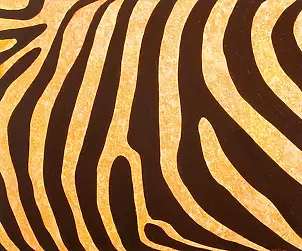 Tadeusz Gazda - Zebra And