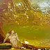 Владимир Иванов - Желтая вода