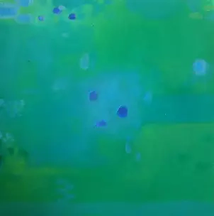 Paulina Kwasow - Greenery in the blue