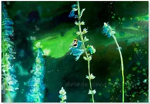 Joanna Magdalena - Green love