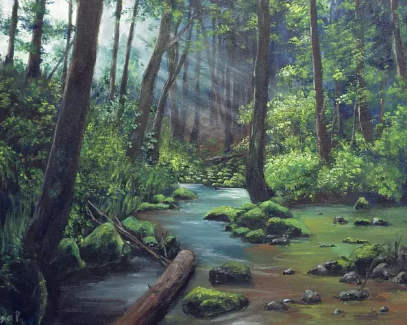 Paweł Kosior - forêt verte