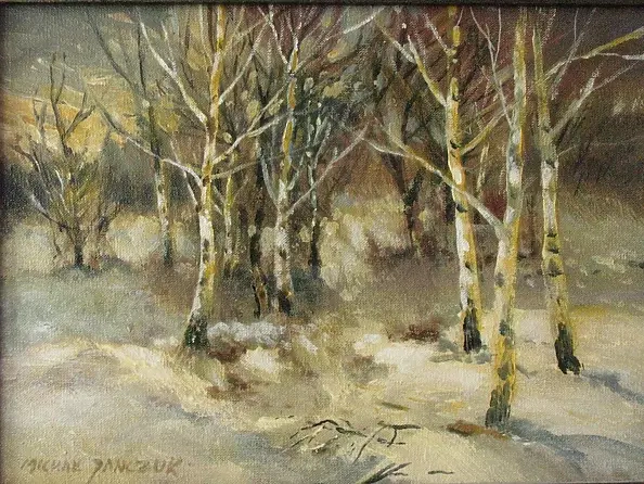 Michał Janczuk - Zima