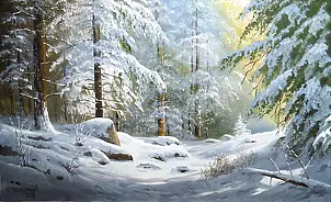 Marek Szczepaniak - Winter in Podkarpacie
