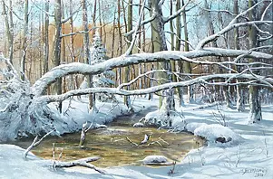Marek Szczepaniak - Winter wilderness