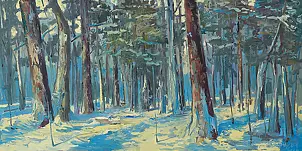 Daniel Gromacki - Winter in the Forest