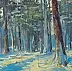 Daniel Gromacki - Winter in the Forest