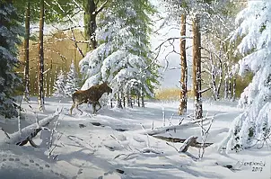 Marek Szczepaniak - Winter in the forest - moose