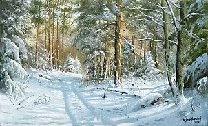 Marek Szczepaniak - Zima w lesie