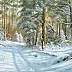 Marek Szczepaniak - Winter in the forest