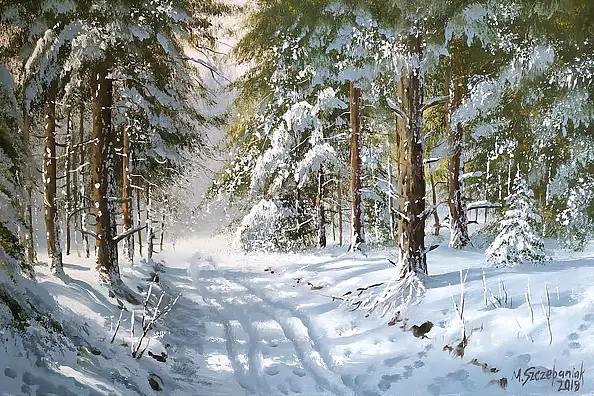 Marek Szczepaniak - Zima w lesie