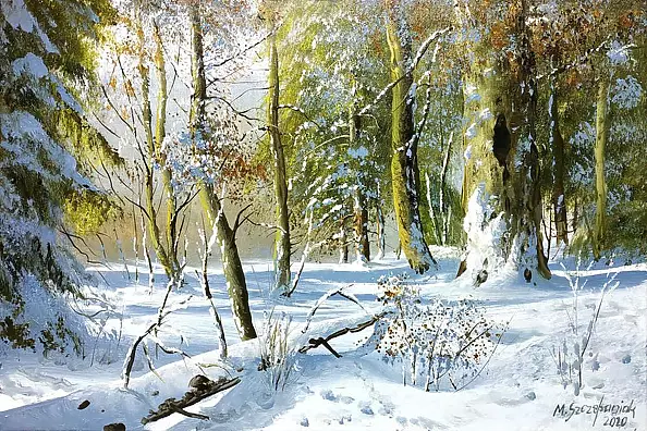 Marek Szczepaniak - Zima w lesie