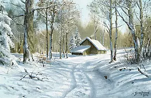 Marek Szczepaniak - Winter in the forest