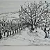 Małgorzata Kłapsa - Winter in the orchard.