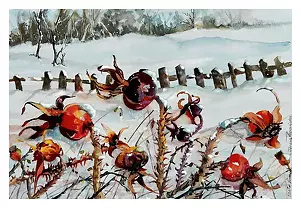 Teresa Kopańska - Winter of wild rose bush