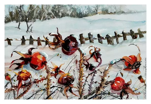 Teresa Kopańska - Winter of wild rose bush