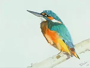 Zdzisław Rutkowski - Kingfisher IV